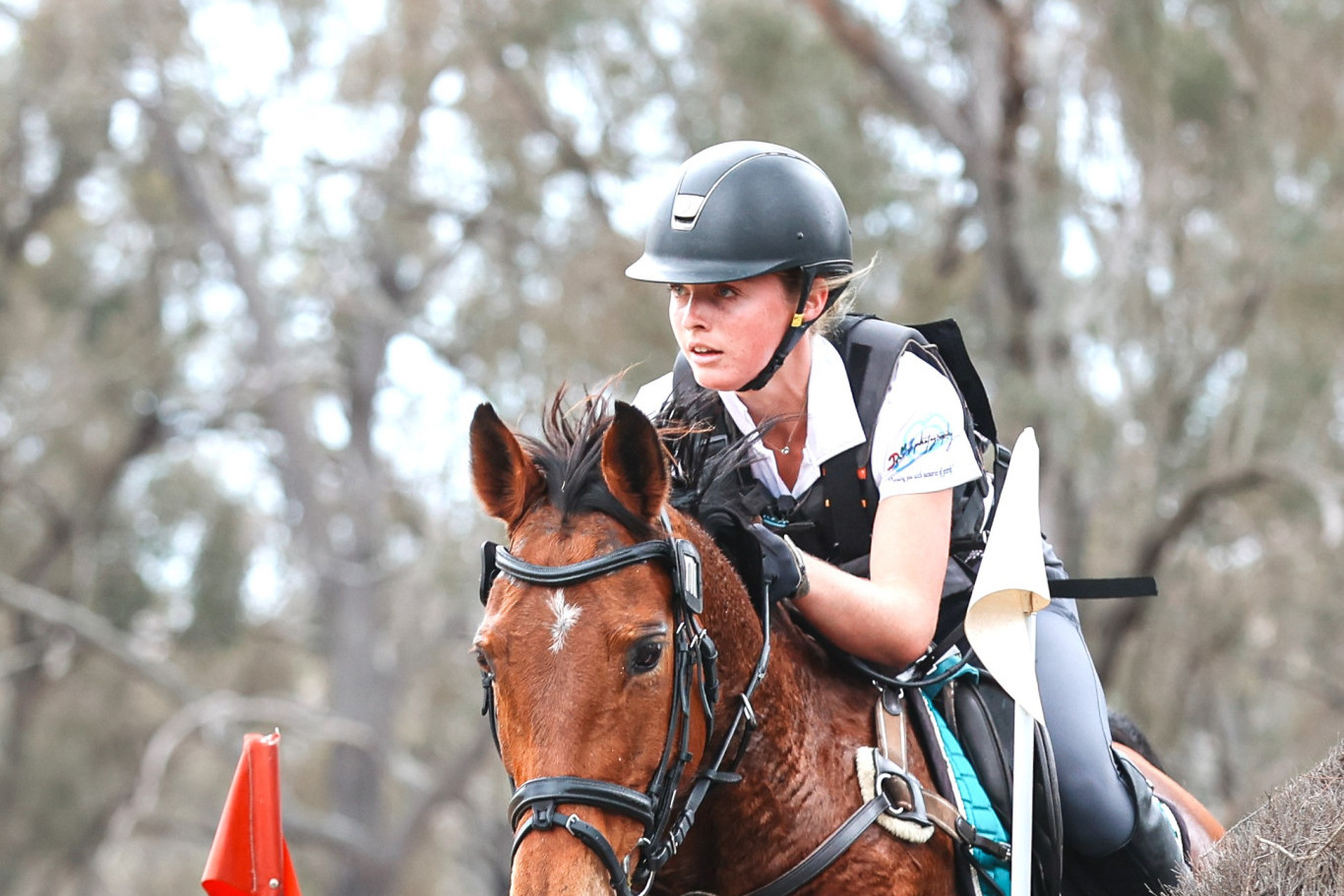 Three-star winner Sophie Nicholls, of Tamborine, and Booroodabin Bella on the Warwick Horse Trials Cross Country Course this year. Photo: Ashley Grant.