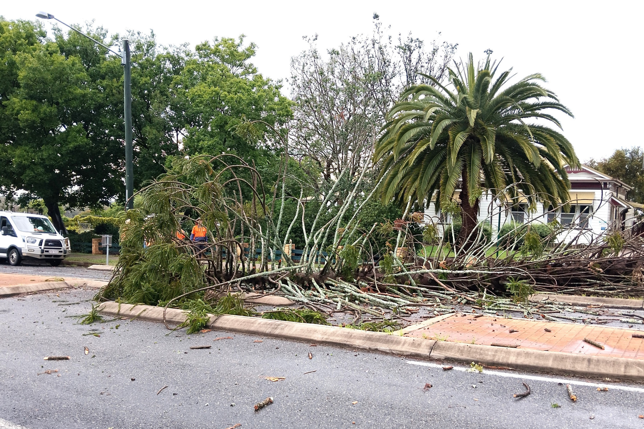 November 13 storm damage on the Downs.