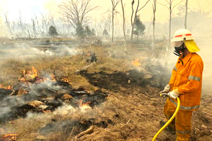 A rural fire service volunteer at the fire at Rodgers Creek. Photo contributed.